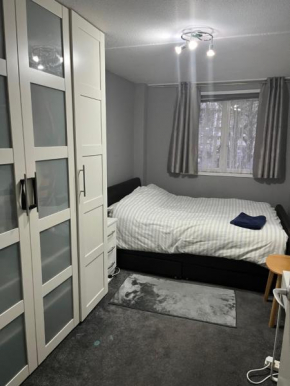 Spacious Central London Double Room